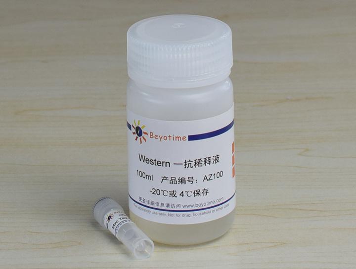 Myc Tag Mouse Monoclonal Antibody